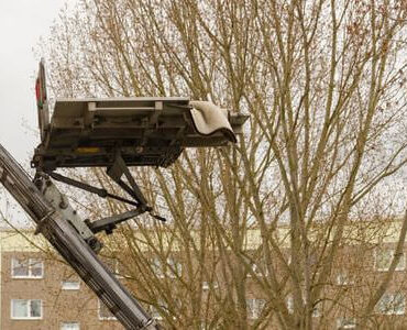 Möbellift in Offenbach: Möbellift zwischen kahlen Bäumen vor einem Gebäude