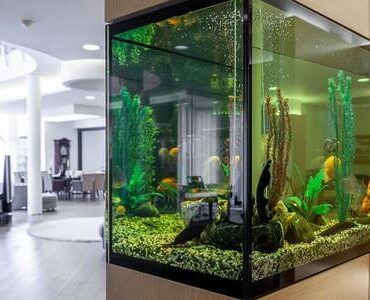 Aquarium-Umzug Offenbach: Großes Aquarium in einem modernen Wohnzimmer
