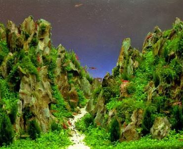 Aquarium-Umzug Offenbach: Aquarium mit Felslandschaft und Pflanzen